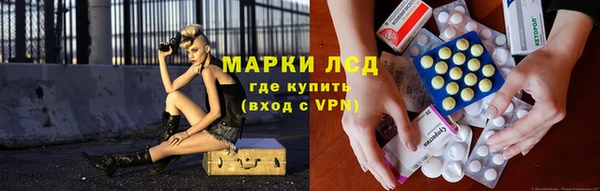 гидропоника Ельня