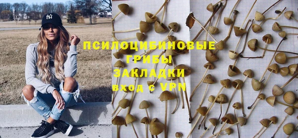 гидропоника Ельня