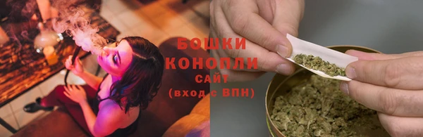 гидропоника Ельня