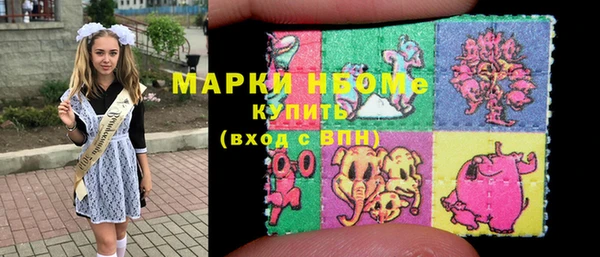 шишки Переславль-Залесский